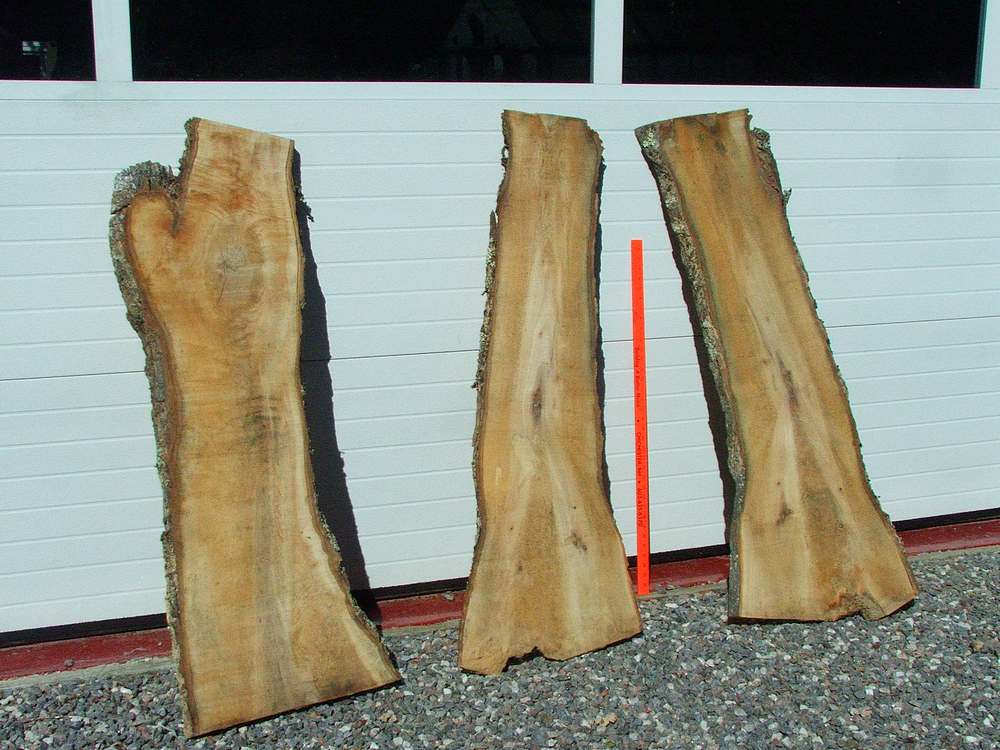 Buy Wood Slabs Great Things for DIY homeowners and Gardeners